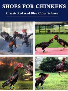 2pcs Blue And Red Rooster Leg Bands, Chicken Shoes, Rooster Spur Protectors, Suitable For Spur Protection, Rooster Protection, Rooster, Chicken Saddle - Multiple Styles - View 9