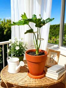 Indoor Plant Support Stand: Durable Metal Flower Rack, Suitable For Flowers And Herbs, Featuring Grid Frame Design, Universal For Indoor And Outdoor Plants, Easy To Use, Enhanced Stability - Multicolor - View 7