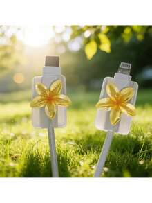 2 Yellow Frangipani