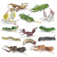 Realistic Worm Model Toy, Butterfly , Mantis, Beetle Model, Insect Enthusiast, Garden Scene Building Decoration Model Ornament, Gift - 彩色 - 查看 4