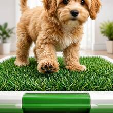 Pet Training Pad Indoor Dog Toilet Tray Artificial Grass Reusable Puppy Potty Training System Easy Clean - View 6