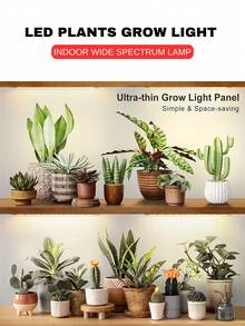 aiinnew 室內園藝 LED 植物生長燈 USB 供電 1-4 入組,適用於櫥櫃下與層架下,種子發芽、蔬菜,全光譜 LED 技術,專為盆栽與盆景設計,附定時器,超薄設計 - 白色 - 查看 2