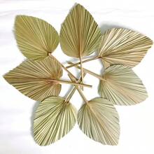 10PCS Natural Rattan Dried Palm Fans - Suitable For Wall Decoration, Wedding, Holiday Parties, Decor - Multi-Holiday Use For Christmas, Easter, Thanksgiving - Dried Flower Fan Blowers - 30-50cm - View 1