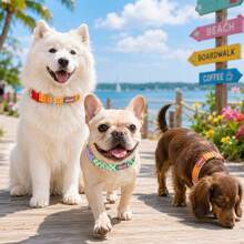 系列狗狗項圈與牽繩套組，通用小型犬與大型犬，比熊、西高地、泰迪、黃金獵犬適用，戶外散步防拉頸項圈，卡通格紋奶牛印花對比色吸睛寵物項圈，加固金屬 A 型牽繩扣，高強度防撕裂防斷裂，可調節 D 型環扣適配不同頸圍，高強度安全快扣，穩固防脫落 - 紫羅蘭色 - 查看 8