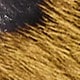 Black and Brown Leopard Print