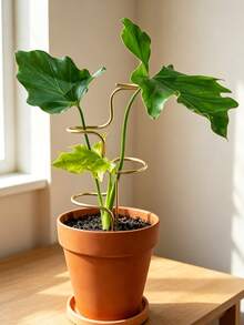 Indoor Plant Support Stand: Durable Metal Flower Rack, Suitable For Flowers And Herbs, Featuring Grid Frame Design, Universal For Indoor And Outdoor Plants, Easy To Use, Enhanced Stability - Multicolor - View 1
