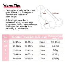 1pc Reflective Mesh Leash, Rabbit Leash, Rabbit Accessories, Leash, Breathable Pet Vest, Adjustable Pet Leash, Suitable For Cats, Rabbits, Small And Medium Dogs Pet Accessories - Multicolor - View 2
