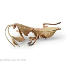Realistic Worm Model Toy, Butterfly , Mantis, Beetle Model, Insect Enthusiast, Garden Scene Building Decoration Model Ornament, Gift - 彩色 - 查看 16