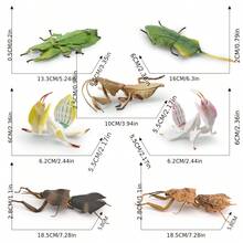 Realistic Worm Model Toy, Butterfly , Mantis, Beetle Model, Insect Enthusiast, Garden Scene Building Decoration Model Ornament, Gift - 彩色 - 查看 7
