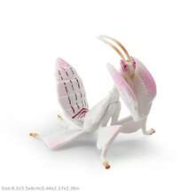 Realistic Worm Model Toy, Butterfly , Mantis, Beetle Model, Insect Enthusiast, Garden Scene Building Decoration Model Ornament, Gift - 彩色 - 查看 13
