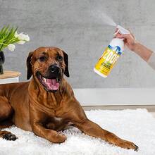 Pet Odor Pro Eliminator Spray For Strong Pet Odors, Natural, Powerful Heavy Duty Formula. Removes Pet Urine Odor,  For All Surface - 8 OZ - 8 Ounce Pack Of 1 - View 3