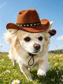 Topi Hewan Peliharaan - Topi Koboi Hewan Peliharaan, Topi Pelindung Matahari Koboi Barat Baru, Cocok untuk Anjing dan Kucing, Perlindungan Matahari di Luar Ruangan, Properti Foto Pesta Ulang Tahun, Aksesori Kostum Anak Anjing - MultiWarna - View 5
