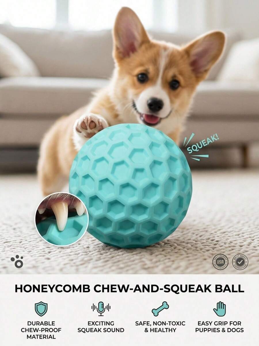 PETSIN 發聲狗球咀嚼玩具，高彈性無味球，適合幼犬與強咬犬，耐用耐磨，圓潤邊緣，室內外互動遊戲玩具
