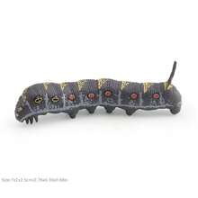 Realistic Worm Model Toy, Butterfly , Mantis, Beetle Model, Insect Enthusiast, Garden Scene Building Decoration Model Ornament, Gift - 彩色 - 查看 14