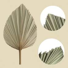 10PCS Natural Rattan Dried Palm Fans - Suitable For Wall Decoration, Wedding, Holiday Parties, Decor - Multi-Holiday Use For Christmas, Easter, Thanksgiving - Dried Flower Fan Blowers - 30-50cm - View 2