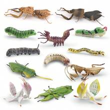 Realistic Worm Model Toy, Butterfly , Mantis, Beetle Model, Insect Enthusiast, Garden Scene Building Decoration Model Ornament, Gift - 彩色 - 查看 3