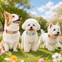 系列狗狗項圈與牽繩套組，通用小型犬與大型犬，比熊、西高地、泰迪、黃金獵犬適用，戶外散步防拉頸項圈，卡通格紋奶牛印花對比色吸睛寵物項圈，加固金屬 A 型牽繩扣，高強度防撕裂防斷裂，可調節 D 型環扣適配不同頸圍，高強度安全快扣，穩固防脫落 - 紫羅蘭色 - 查看 6