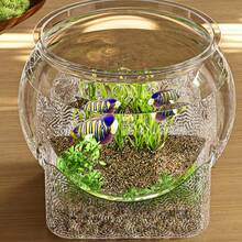 1pc Desktop Mini Landscape Ecosystem Tank Office Transparent Turtle Tank Wholesale Plastic Design Shatter-Resistant Anti-Break Goldfish Tank Betta Fish Guppy Suitable For Individual Breeding - View 6