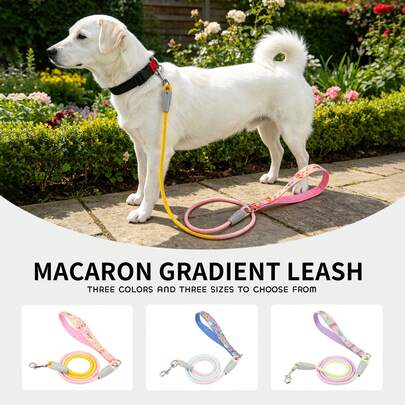 Stylish Macaron Gradient Pet Leash (140cm/55.12in) – Soft, Non-Slip Handle; Available In Gradient Pink, Blue, Or Purple; Durable, Shock-Absorbing Design For Training