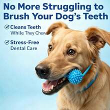 Dual-Action Dog Dental Aid Tool - Dog Teeth Cleaning Chew Toy With Massage Bristle Design, Helps Maintain Gum Health And Easily Complete Brushing Tasks. Made Of Rubber Material, Relieves Stress, Suitable For Medium To Large Dogs - Blue - View 4