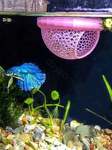 1pc 3D Printed PLA Material Betta Fish Resting Floating Bed, Mini Cave And Fish Hammock, Small Fish Feeding Ring, Aquarium Mesh Decorative Accessory - A - View 4