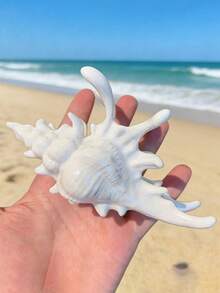 2件組美人魚貝殼髮夾，幻彩珍珠光澤法式復古髮夾，防滑強抓力，夏季海灘飾品 - 彩色 - 查看 5
