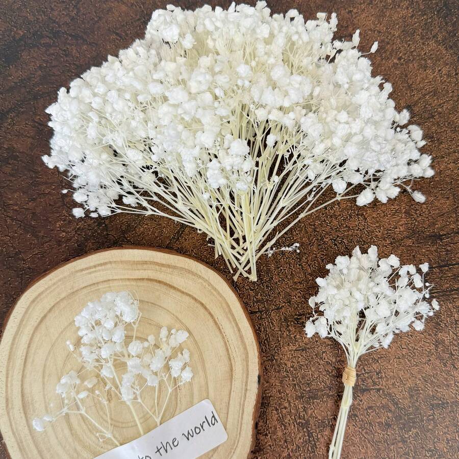 25/50/100/150/300件迷你滿天星及其他人造花 - 用於樹脂模具藝術與手工藝,適用於髮飾、婚禮花環、桌面花飾、家居裝飾等 - 白色 - 查看 1