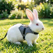 Set Harness dan Tali Hewan Peliharaan Motif Kotak-kotak Vintage untuk Pria, Harness Gaya Rompi yang Dapat Diatur, Perlengkapan Jalan-jalan di Luar Ruangan untuk Anjing Kecil, Kucing, Kelinci, Perlengkapan Kelinci - MultiWarna - View 1