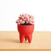 ORIZZONTE Maceta con forma de diente, maceta decorativa moderna para suculentas y cactus, decoración minimalista para el hogar y la oficina – 100% fabricada en Italia, envío desde Italia - rojo - Ver 5