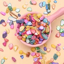 100g Colorful Asymmetric Seashell Pieces, Natural Shell Confetti &Craft Supplies For DIY Art, Resin Jewelry, Vase Filling, Wedding Decor, Beach Themed Party - Shell - View 8