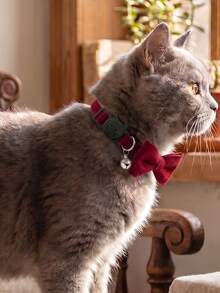 1pc Personalized Velvet Cat Collar With Detachable Bow And Bell. Customizable Engraved Anti-Lost Pet ID Tag With Name And Contact Information. Suitable For Small-Medium Cats And Dogs. Stainless Steel Pet Jewelry. - Red - View 5
