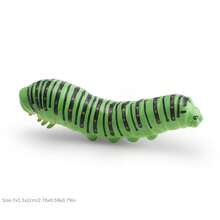 Realistic Worm Model Toy, Butterfly , Mantis, Beetle Model, Insect Enthusiast, Garden Scene Building Decoration Model Ornament, Gift - 彩色 - 查看 17