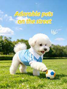 Pet Polo Shirt, Breathable Fabric, Classic T-Shirt, Multiple Colors And Sizes Available, Suitable For Cats And Dogs Under 6kg - Red - View 5