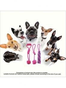 3 PCS / 1 PC Purple Knotted Rope Dog Toy, Durable Training Interactive Dog Rope, Suitable For All Sizes Of Dogs For Indoor And Outdoor Play And Teeth Cleaning - Multicolor - View 4