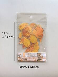 1包40張PET秋季黃葉貼紙，裝飾性剪貼簿拼貼素材，學校用品 - DT226 - 查看 7