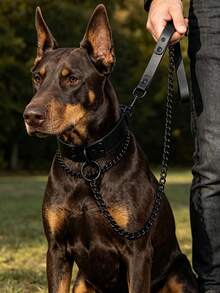 Dog Choker Pet Collar & Leash Set, Adjustable European & American Style Dark Personalized Exaggerated Leash Collar Neck Accessory Set, Leather Collar, Alloy Leash, Sturdy & Durable, Adjustable Collar Size - Black - View 7