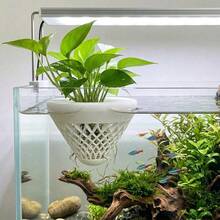 1個水族箱浮水植物盆，懸掛式水耕植栽盆，適用於淡水魚缸水質淨化與裝飾配件 - A - 查看 6