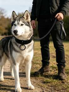 Dog Choker Pet Collar & Leash Set, Adjustable European & American Style Dark Personalized Exaggerated Leash Collar Neck Accessory Set, Leather Collar, Alloy Leash, Sturdy & Durable, Adjustable Collar Size - Black - View 4