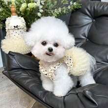 1pc Female Dog/Cat White Polka Dot Lace Ruffle Bow Decor Ballet Tutu Pet Dress, Breathable Soft Princess Style Pet Outfit, Suitable For Small Dogs And Cats, Ideal For Daily Wear/Photos/Parties - Multicolor - View 2