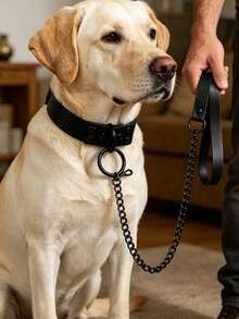 Dog Choker Pet Collar & Leash Set, Adjustable European & American Style Dark Personalized Exaggerated Leash Collar Neck Accessory Set, Leather Collar, Alloy Leash, Sturdy & Durable, Adjustable Collar Size - Black - View 5