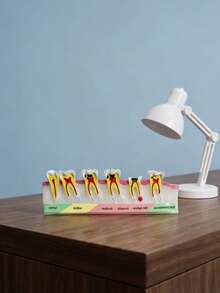 1pc Graduated Caries Comparison Dental Model, Multi-Color Dental Anatomy Display Ornament, Educational Tooth Sculpture, Teacher Gift, Clinic Office Desk Learning Aesthetic Bookshelf Decor, Student Learning, Medical Theme Holiday Decoration - Teeth - View 2