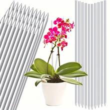Clear Plant Support Stakes, Transparent Plastic Orchid Flower Support Sticks, Bendable Plant Stem Support Rods For Phalaenopsis, Indoor Potted Flowers, Climbing Plants - Transparent - View 1