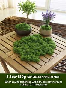 300g/10.58oz 100g/40g 仿真苔藓草坪，人造假苔藓微景观布置，绿植草坪，盆栽窗饰，景观设计 - 綠色 - 查看 17