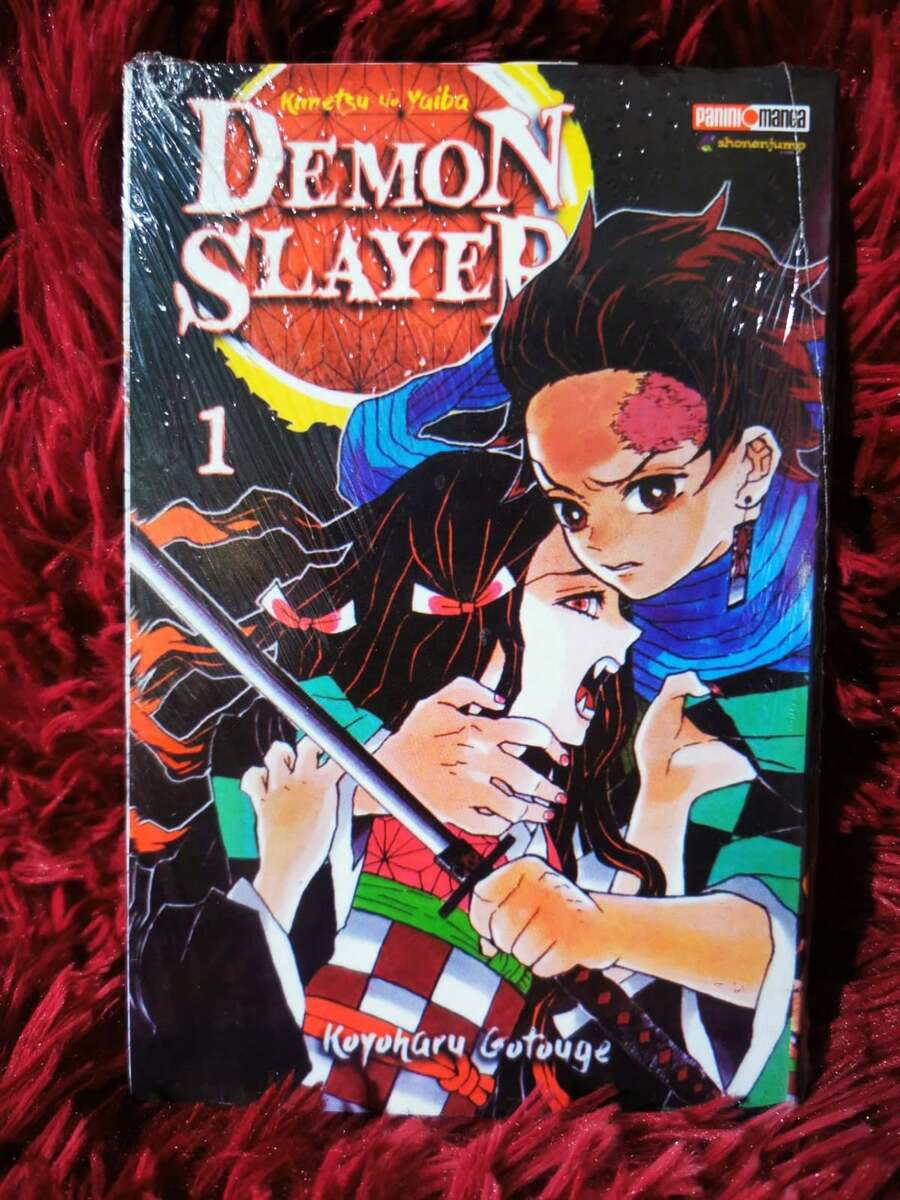 Libro Demon Slayer 1 pasta blanda - Libro único - Ver 1
