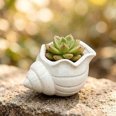 1/2pcs Nordic Style Seashell Shaped Planter, Matte Shell Green Plant Pot, Small Succulent Cactus Desktop Decor