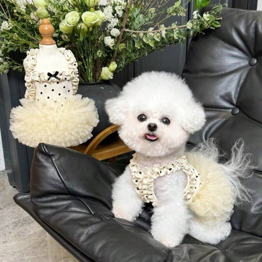1pc Female Dog/Cat White Polka Dot Lace Ruffle Bow Decor Ballet Tutu Pet Dress, Breathable Soft Princess Style Pet Outfit, Suitable For Small Dogs And Cats, Ideal For Daily Wear/Photos/Parties - Multicolor - View 1