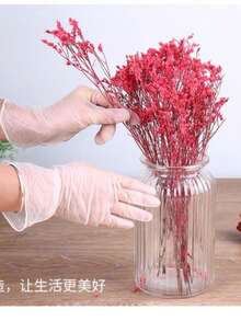 4/20/50/100pcs Disposable Transparent Powder-Free Latex Gloves, Latex-Free Powder-Free, Waterproof Oil-Resistant Soft, Suitable For Food Handling, Daily Cleaning, Kitchen Cleaning, Living Room Kitchen And More [No Box] Dishwashing, Beauty Salon, Hair Dyeing, Pet Bathing, Suitable For Bathroom, Toilet, Living Room And Other Places Household Cleaning Protective Products Household Gloves And Disposable Gloves - A - View 2