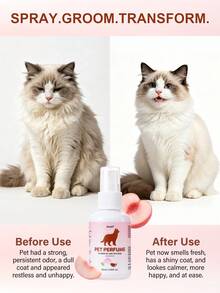 Oivolii Dog Perfume & Pet Cologne – Long-Lasting Peach Oolong Tea Scent | Alcohol-Free Deodorizing Spray For Dogs & Cats, Gentle Non-Sticky Grooming Formula, 2.03 Oz - 60ml - View 3