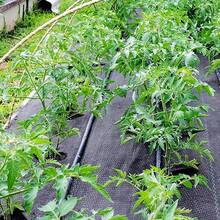 Anti-Mat 3,28 x 32,8 Tecido de Controle Pesado Membrana de Cobertura de Solo Tecido UV para Pátios Canteiros de Flores Paisagismo Tecido de Paisagem PP Barreira de Tecido de Paisagem Tapetes de Jardim para Canteiros Elevados - A - Visão 3