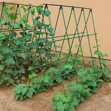 360° Rotatable Garden Stake Connector Clips, Universal Plastic Cross Pipe Buckle For 8/11/16/20mm Plant Support Poles, Greenhouse Trellis Vine Frame Fixed Clamp Gardening Accessories - Green - View 5